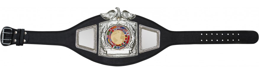 PLTEAGLE WORLD FLAGS CHAMPIONSHIP BELT - PLTEAGLE/S/FLAG